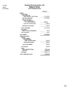Exh-A-HRC-February-2014-financial-stmts 1