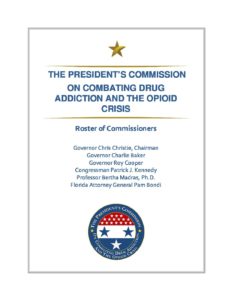 President's Commission Final Report 1
