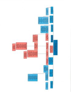 HRC Org chart October 2019 1