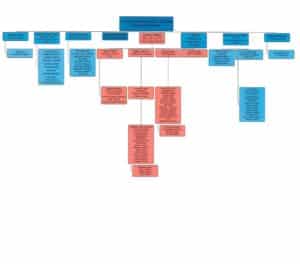 HRC org chart October 2019 jpeg